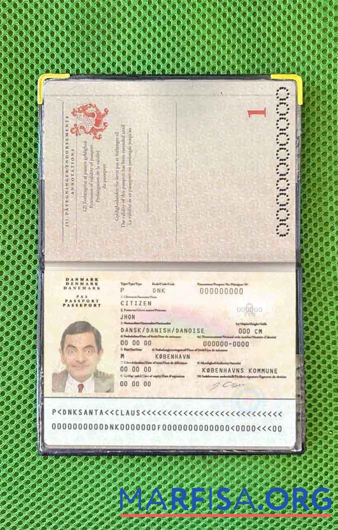 Downloadable Denmark passport photo look template